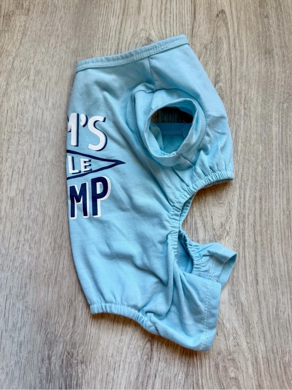 Mom's Little Champ - Light Blue & White - Dog / Small Pet Onesie - size XS